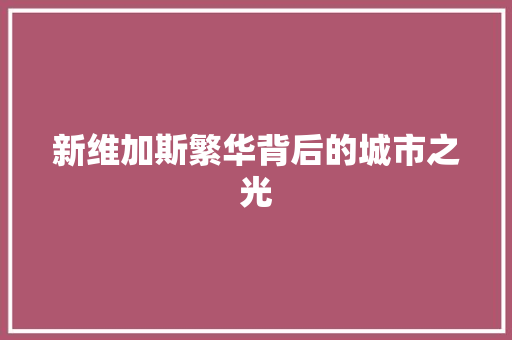 新维加斯繁华背后的城市之光