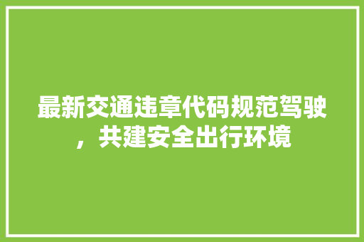 最新交通违章代码规范驾驶，共建安全出行环境