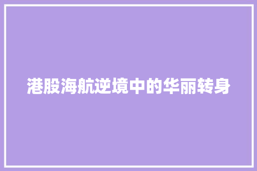 港股海航逆境中的华丽转身