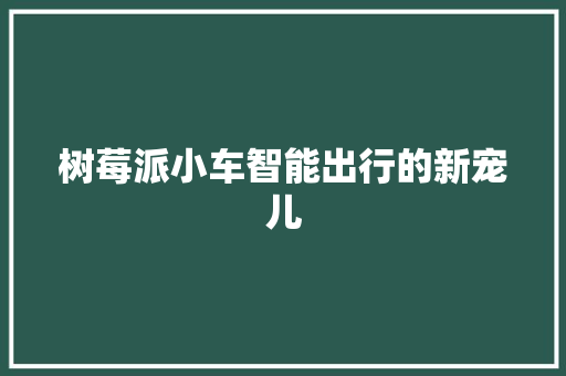 树莓派小车智能出行的新宠儿