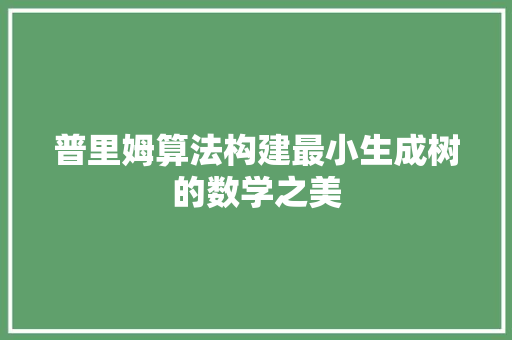 普里姆算法构建最小生成树的数学之美