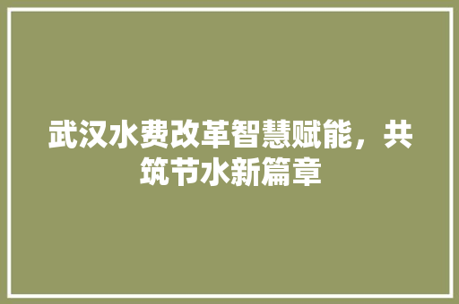 武汉水费改革智慧赋能，共筑节水新篇章
