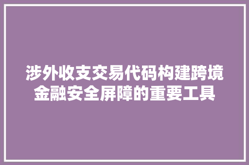 涉外收支交易代码构建跨境金融安全屏障的重要工具