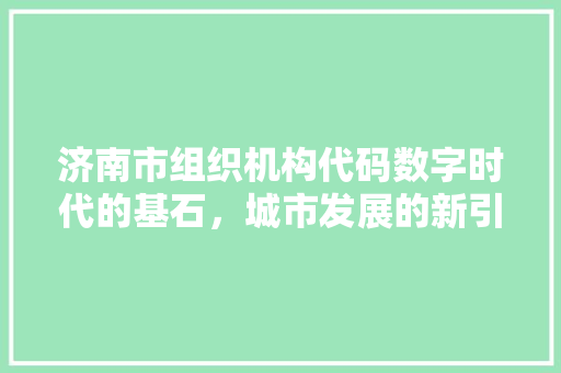 济南市组织机构代码数字时代的基石，城市发展的新引擎  第1张