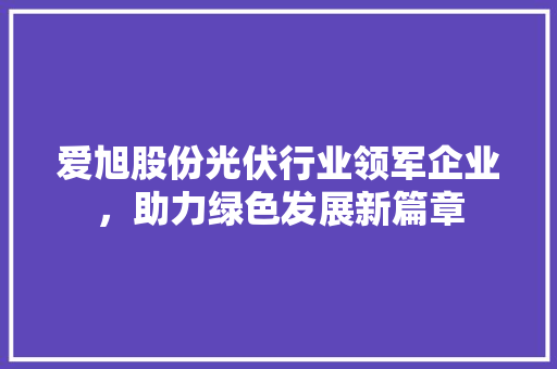 爱旭股份光伏行业领军企业，助力绿色发展新篇章