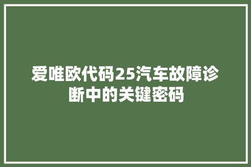 爱唯欧代码25汽车故障诊断中的关键密码