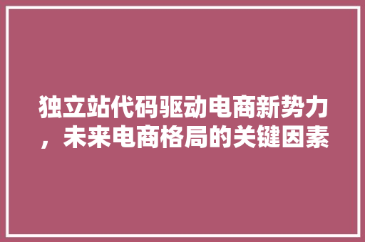 独立站代码驱动电商新势力，未来电商格局的关键因素