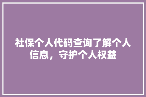 社保个人代码查询了解个人信息，守护个人权益