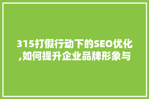 315打假行动下的SEO优化,如何提升企业品牌形象与市场竞争力