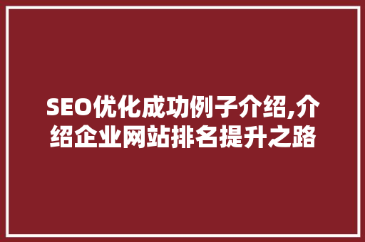 SEO优化成功例子介绍,介绍企业网站排名提升之路