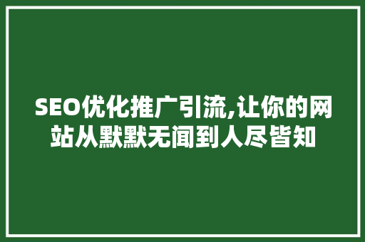 SEO优化推广引流,让你的网站从默默无闻到人尽皆知