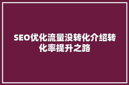 SEO优化流量没转化介绍转化率提升之路