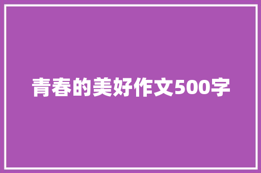SEO优化运营,介绍网站排名提升之路