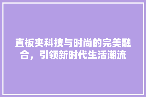 直板夹科技与时尚的完美融合，引领新时代生活潮流
