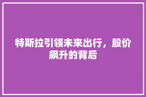 特斯拉引领未来出行，股价飙升的背后