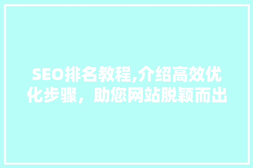 SEO排名教程,介绍高效优化步骤，助您网站脱颖而出
