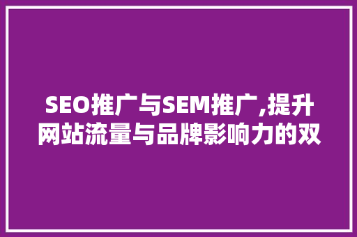 SEO推广与SEM推广,提升网站流量与品牌影响力的双管齐下之路