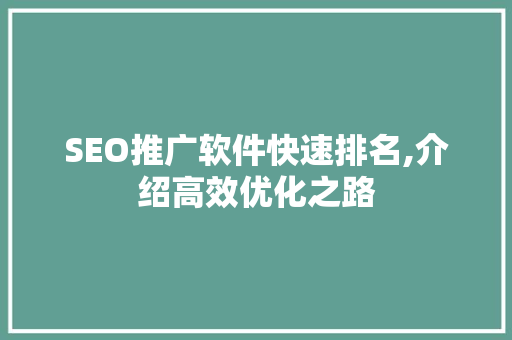 SEO推广软件快速排名,介绍高效优化之路