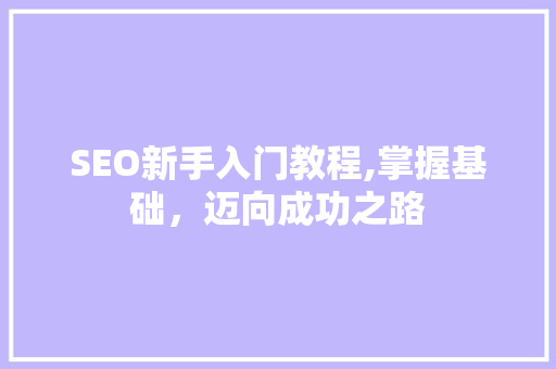 SEO新手入门教程,掌握基础，迈向成功之路