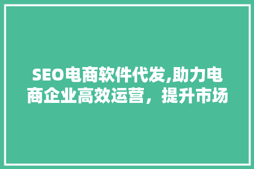 SEO电商软件代发,助力电商企业高效运营，提升市场竞争力