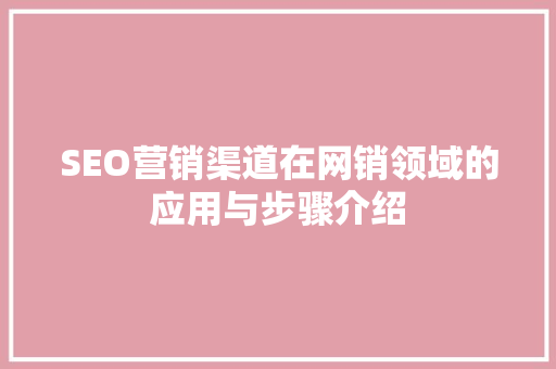 SEO营销渠道在网销领域的应用与步骤介绍