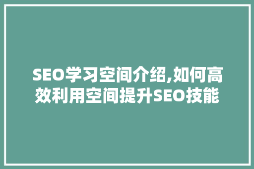 SEO学习空间介绍,如何高效利用空间提升SEO技能