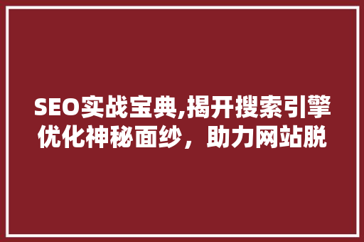 SEO实战宝典,揭开搜索引擎优化神秘面纱，助力网站脱颖而出