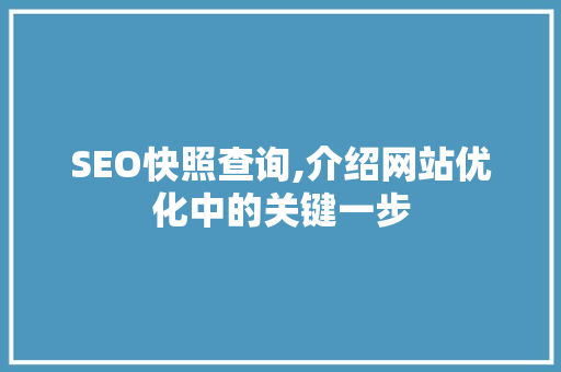 SEO快照查询,介绍网站优化中的关键一步