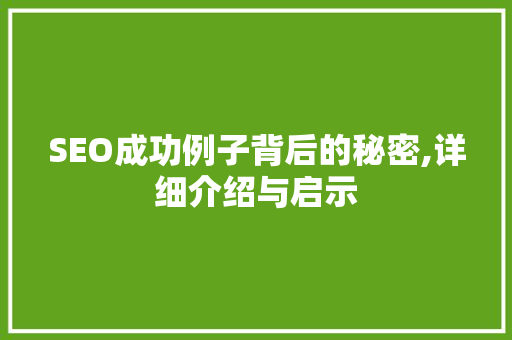 SEO成功例子背后的秘密,详细介绍与启示