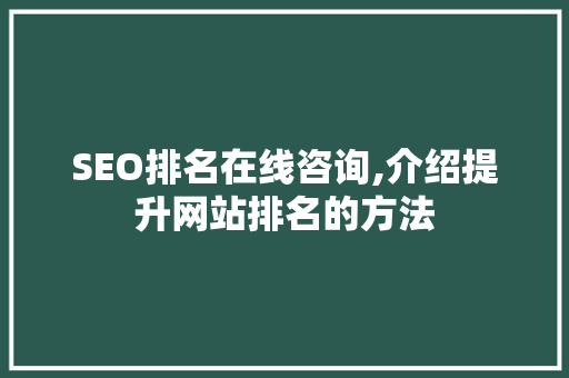 SEO排名在线咨询,介绍提升网站排名的方法